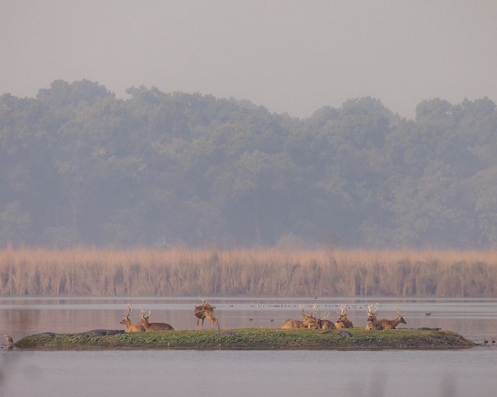 Photograph by Nikhil Parnandi