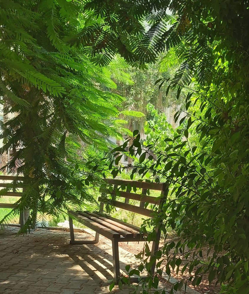 Spring days in Egypt
