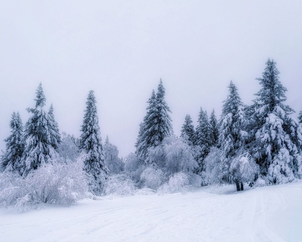 Photograph by Анастасия Глазюк