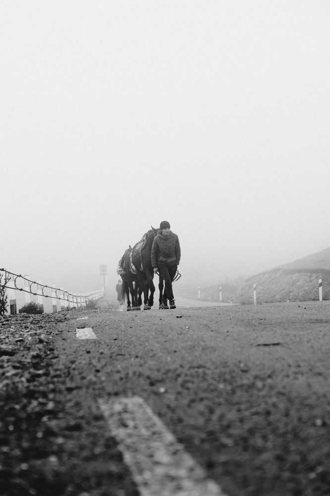 Photograph by Виктор Петров