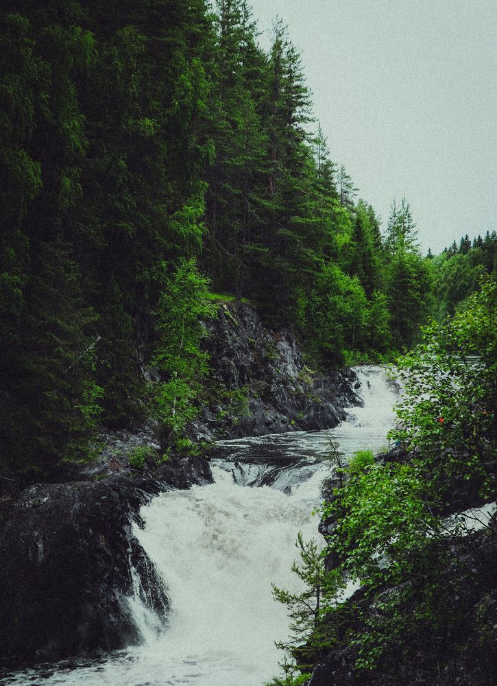 Photograph by Anton Krol