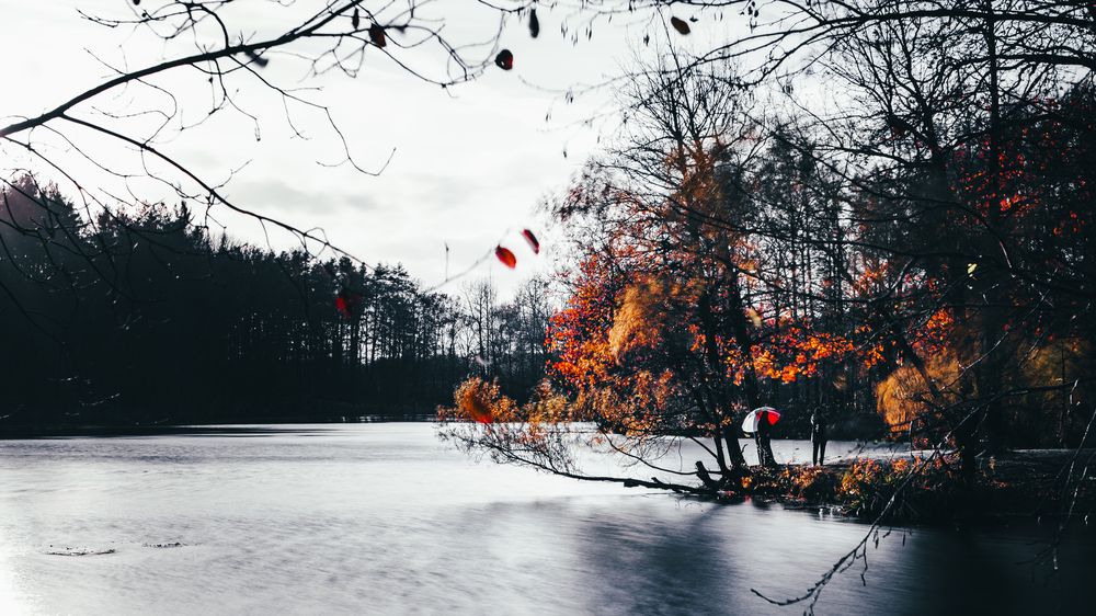 Photograph by Илья