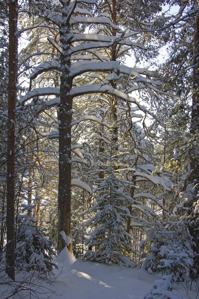 Photograph by Анастасия Северюхина