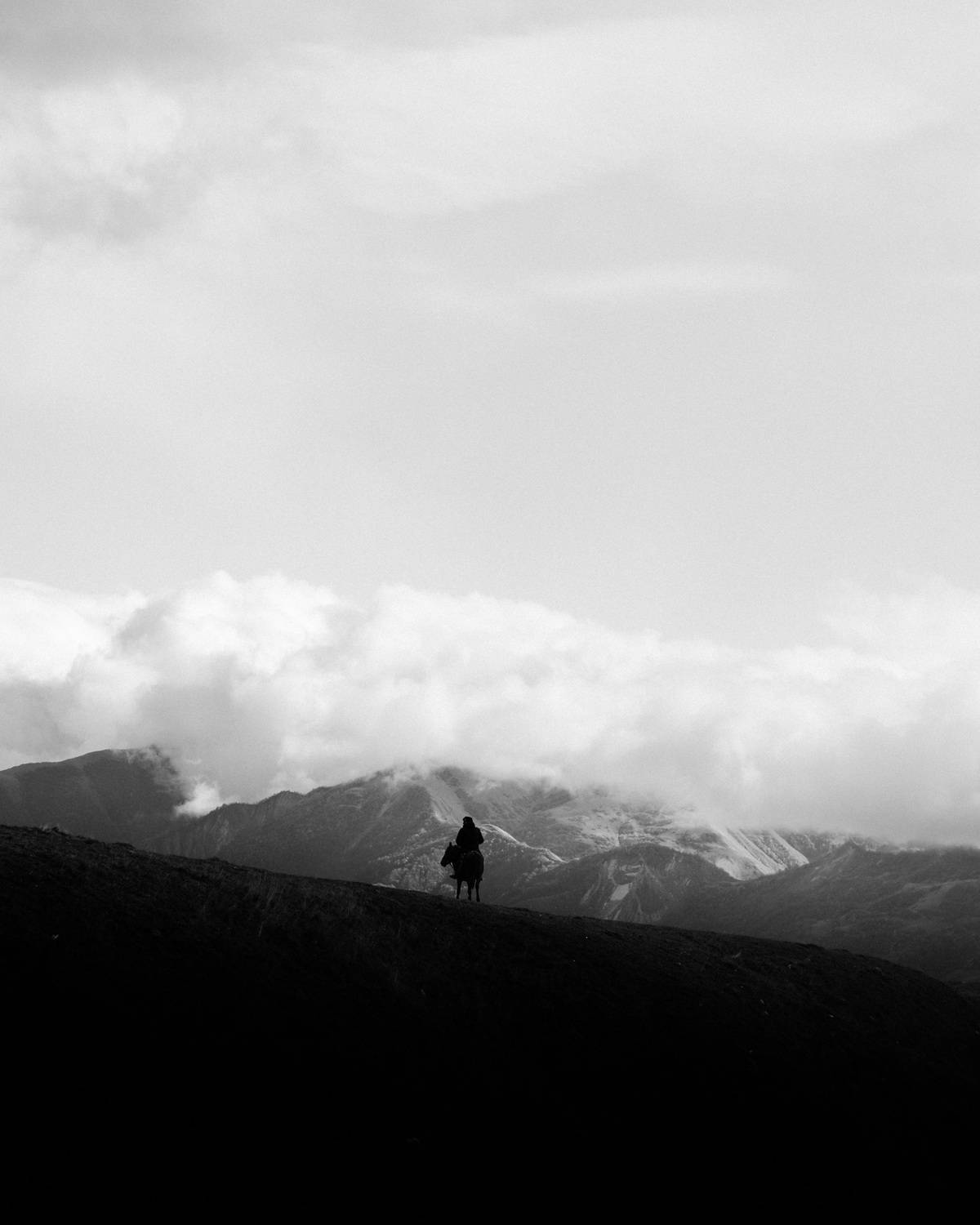 Фотография #11817147