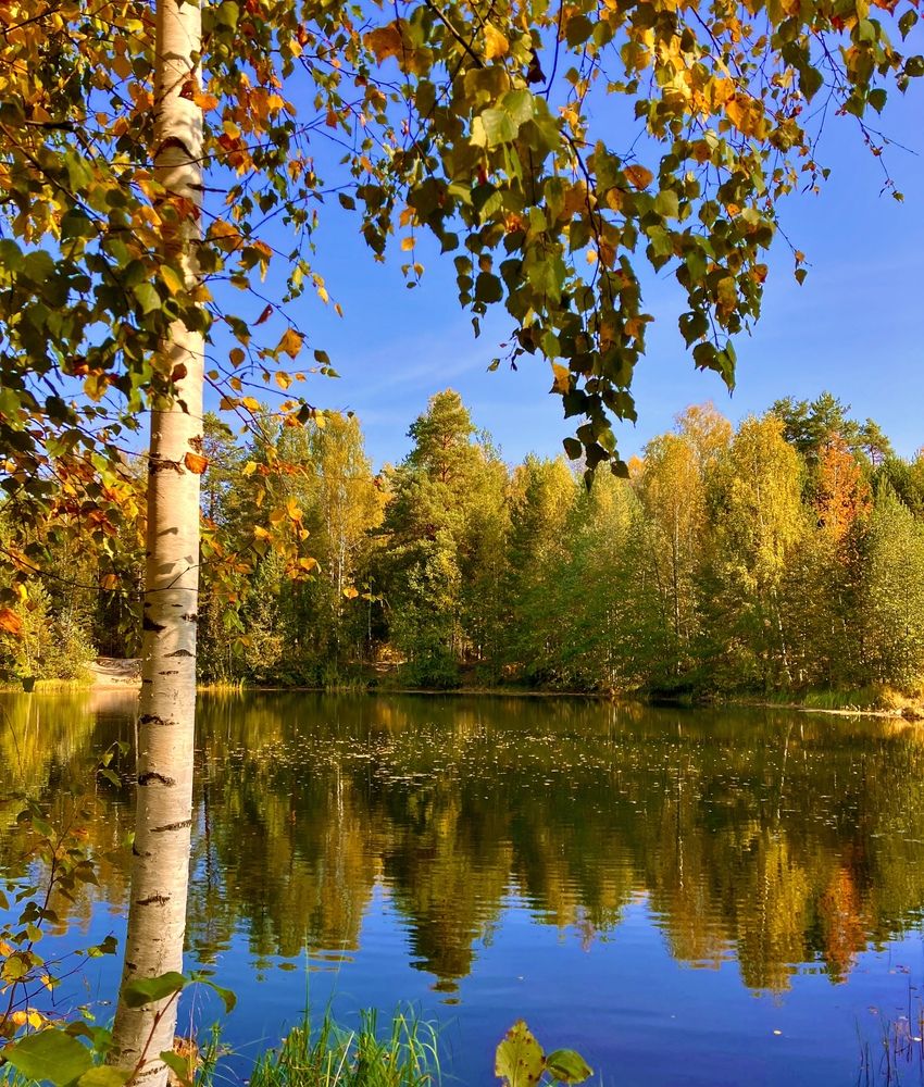 Теплая солнечная осень.