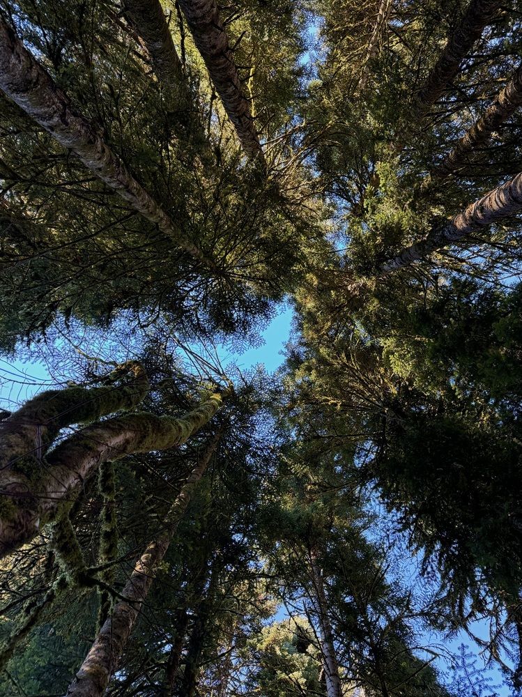 Photograph by Виктория Баева