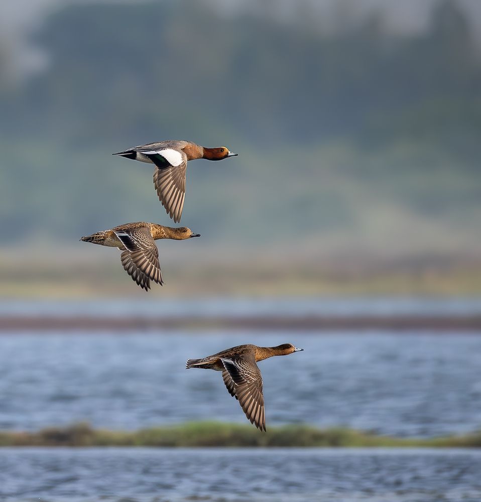 Photograph by MUKESH RAJAN S