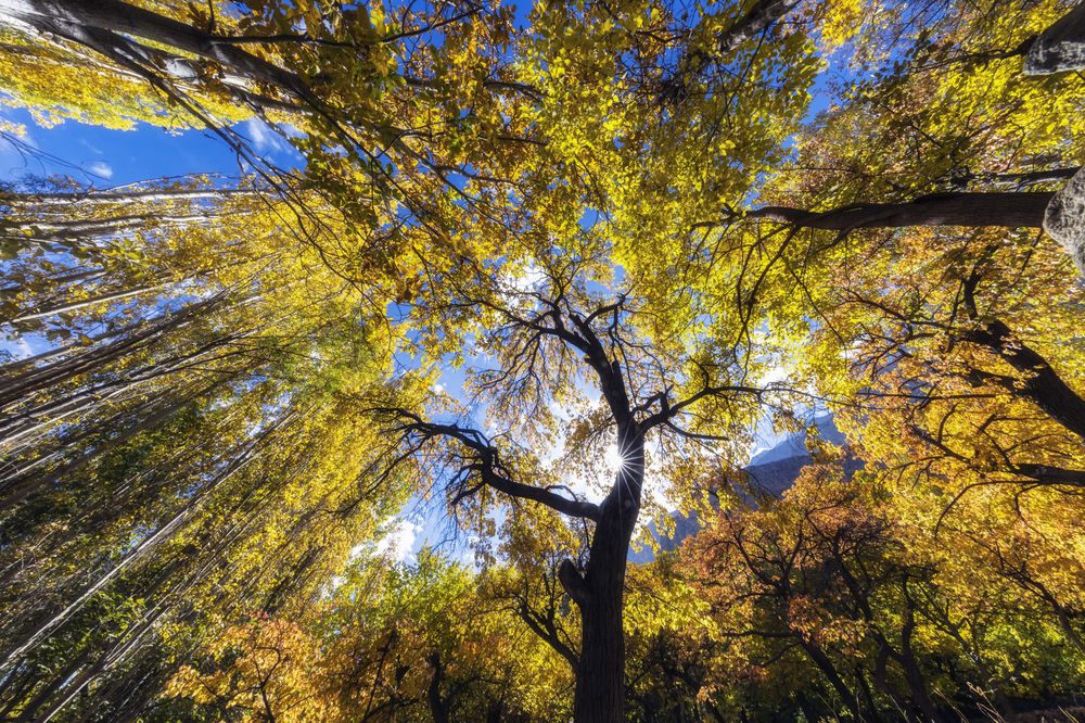 Photograph by Tuấn Nguyễn Tấn