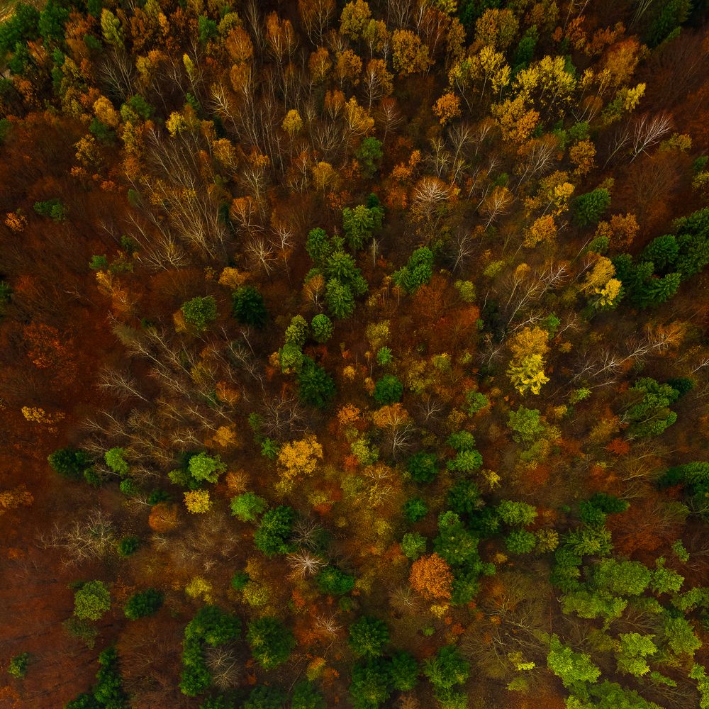 Photograph by Justyna McKinlay