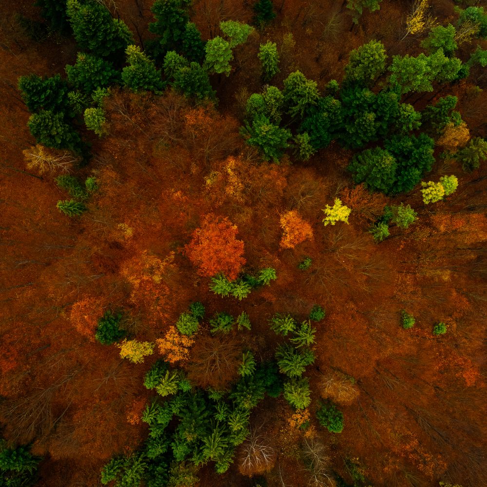 Photograph by Justyna McKinlay