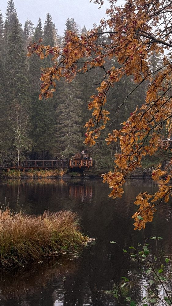 Photograph by Ирина Антипова