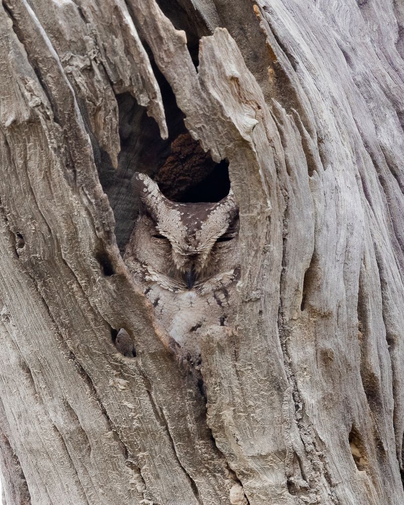 Photograph by Nikhil Parnandi