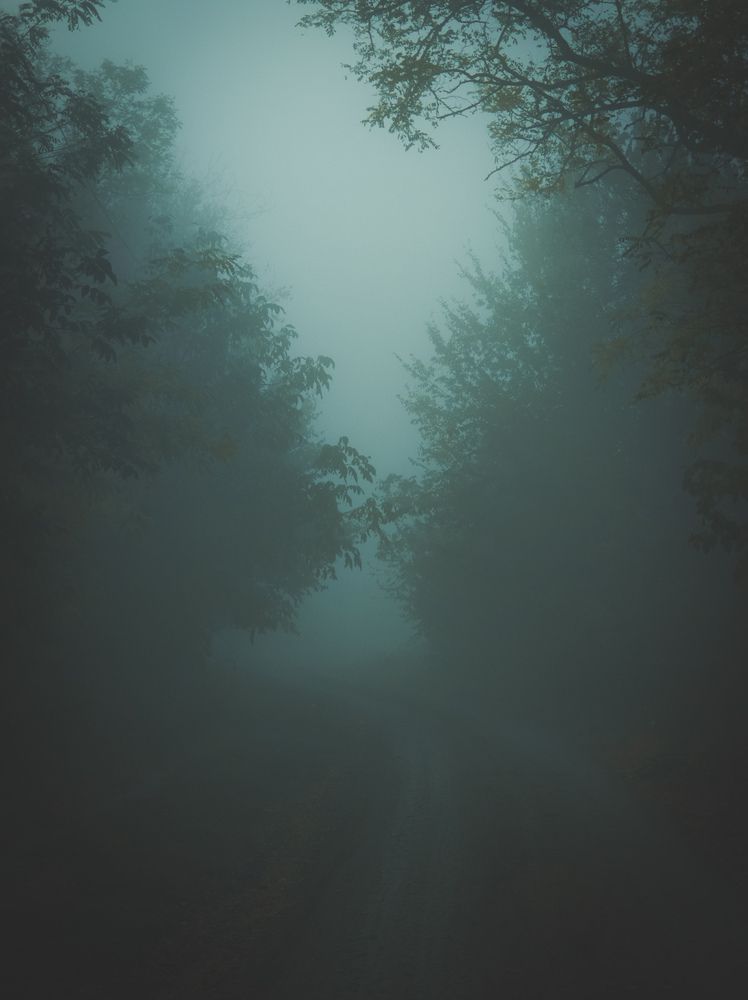 Photograph by Сергей Пыдык