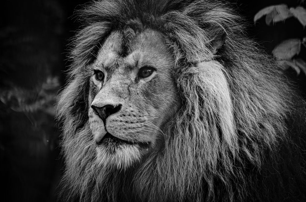 Photograph by Елена Берсенёва