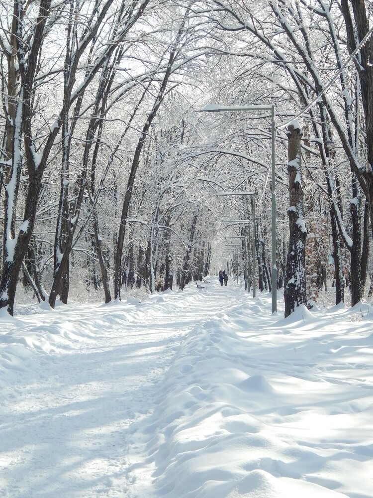 Гуляя по парку.