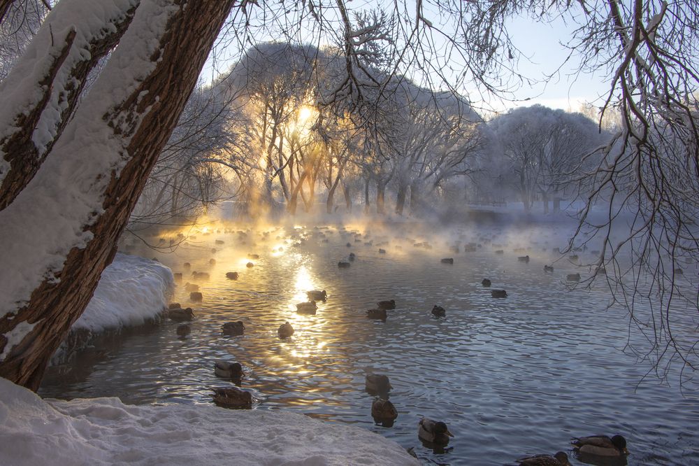 Photograph by Анастасия Северюхина