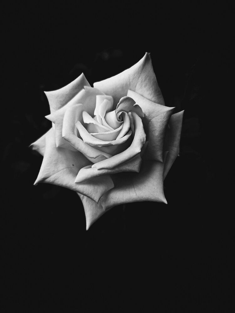 Photograph by Сергей Пыдык