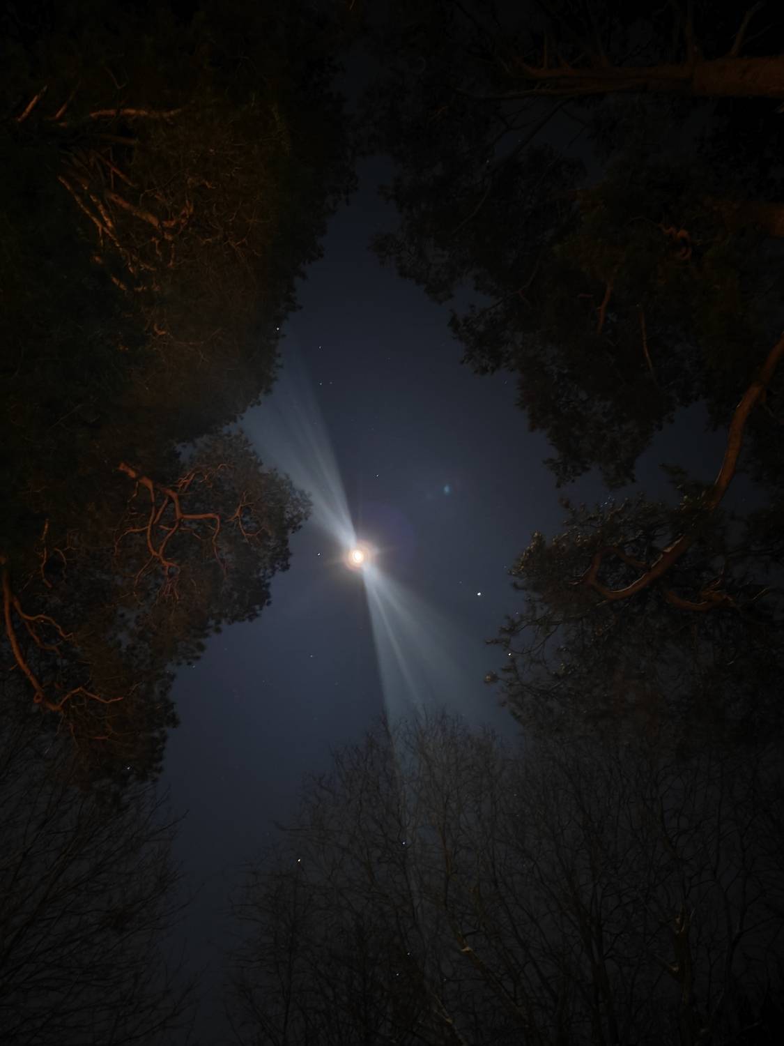 Photo #11817273