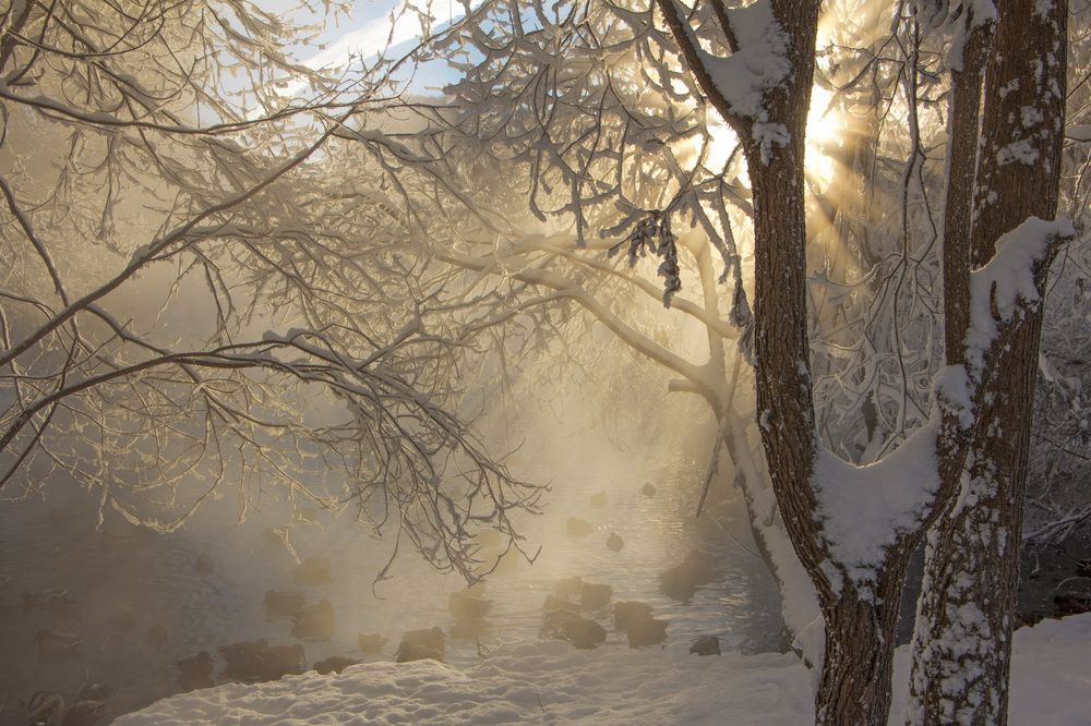 Photograph by Анастасия Северюхина