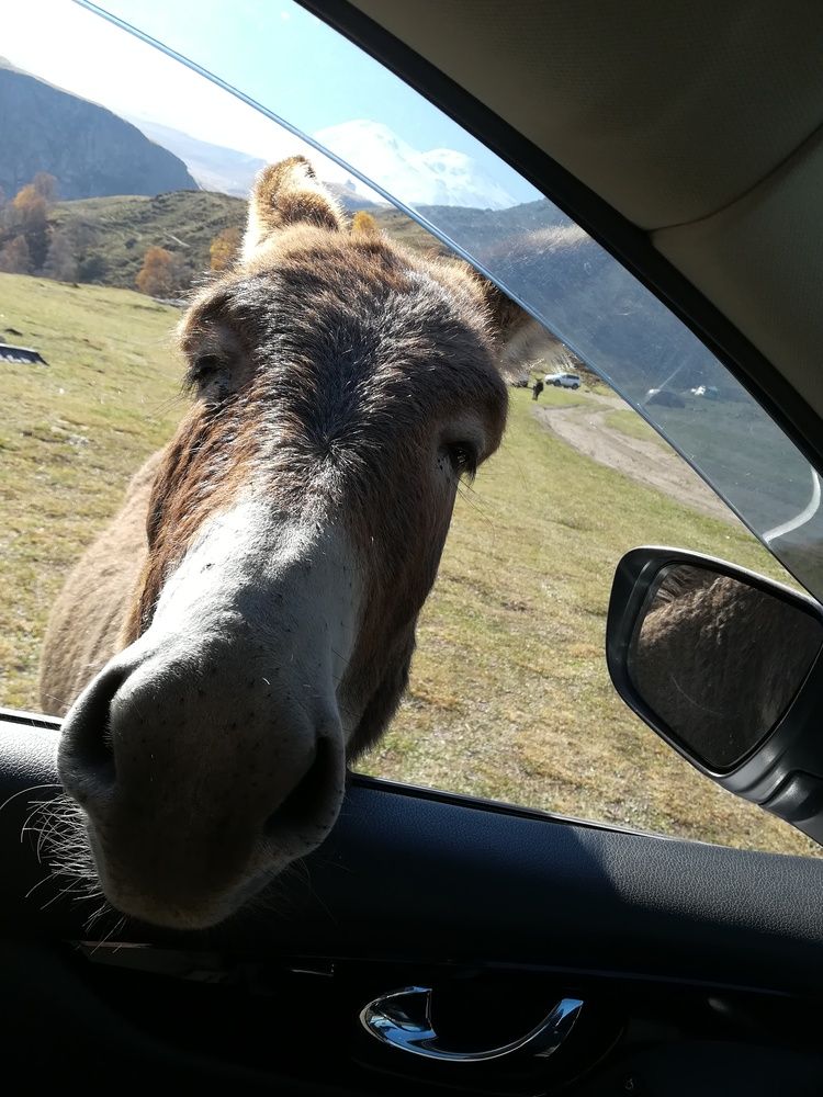 Photograph by владимир