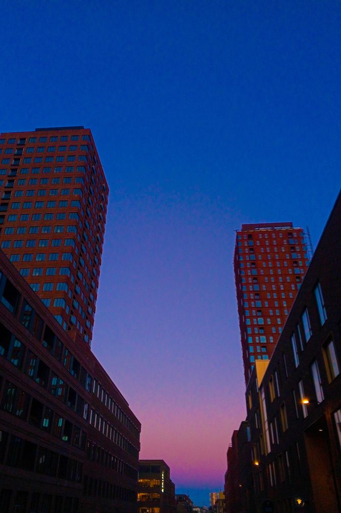Photo #11817305