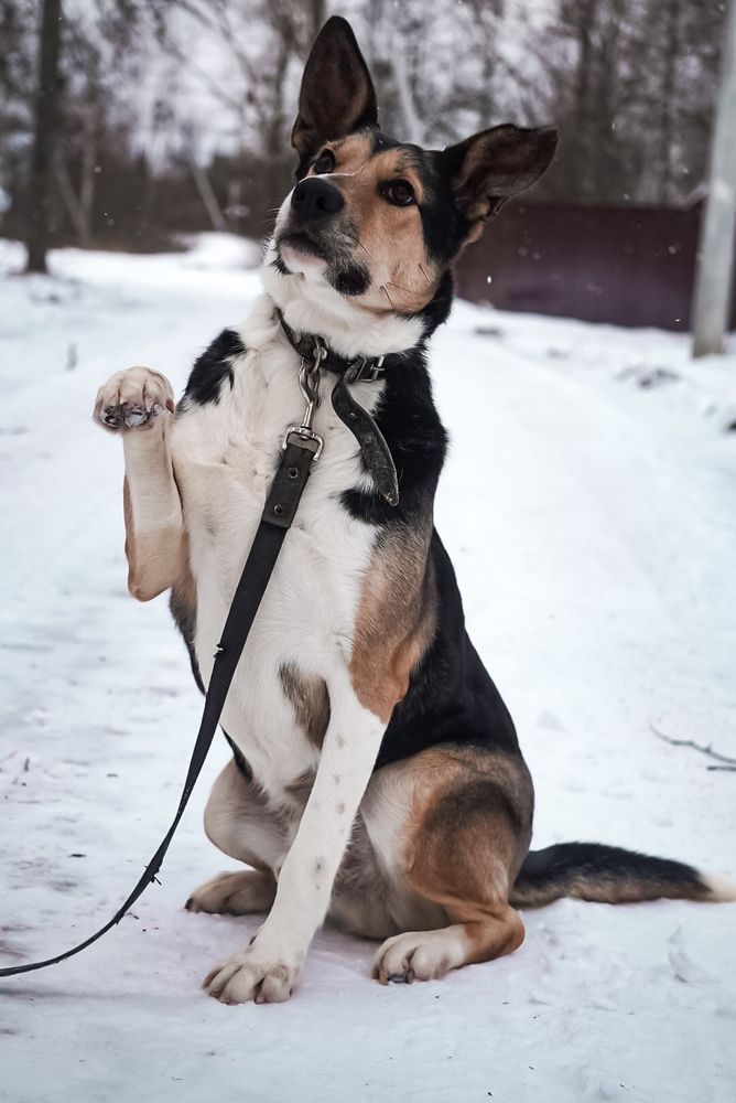 Photograph by Алёна