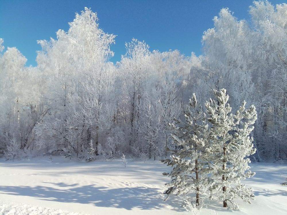 Photograph by Лилия Исхакова