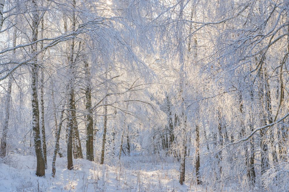 Photograph by Исаков Дмитрий