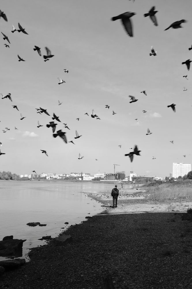 Photograph by ЕЛЕНА МИЛОВАНОВА