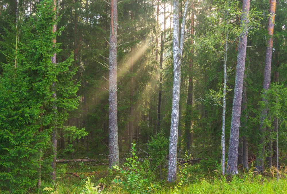 Photograph by Исаков Дмитрий