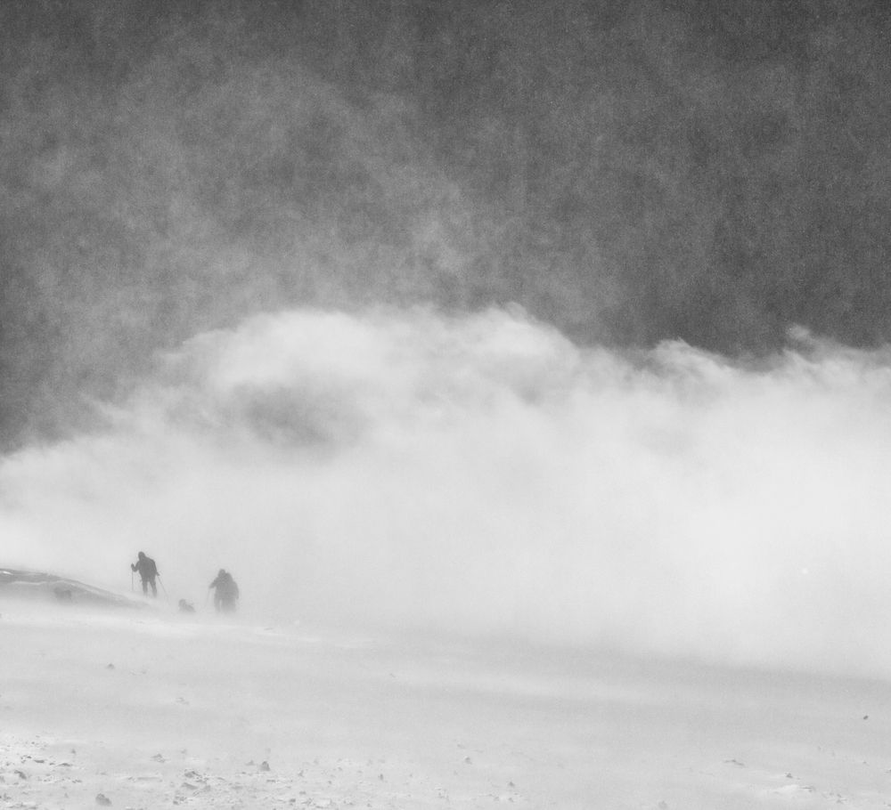 Photograph by Алексей Соколов