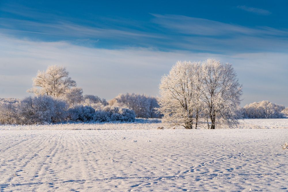 Photograph by Исаков Дмитрий