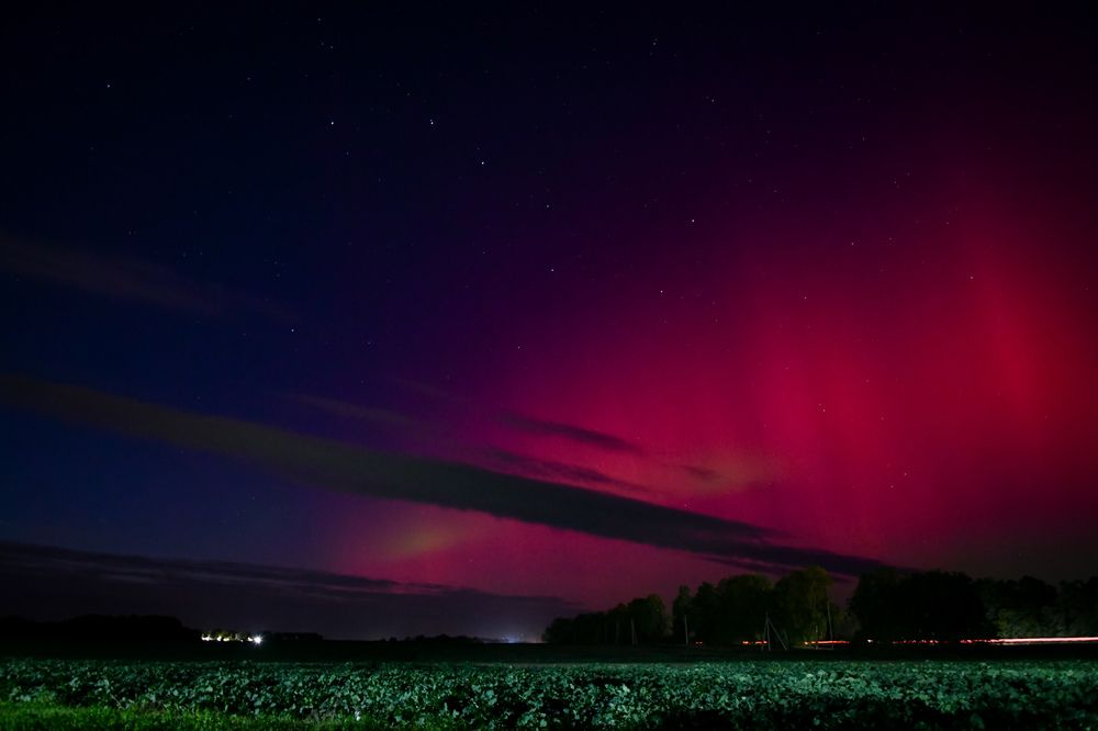 Photograph by Денчук Наталья