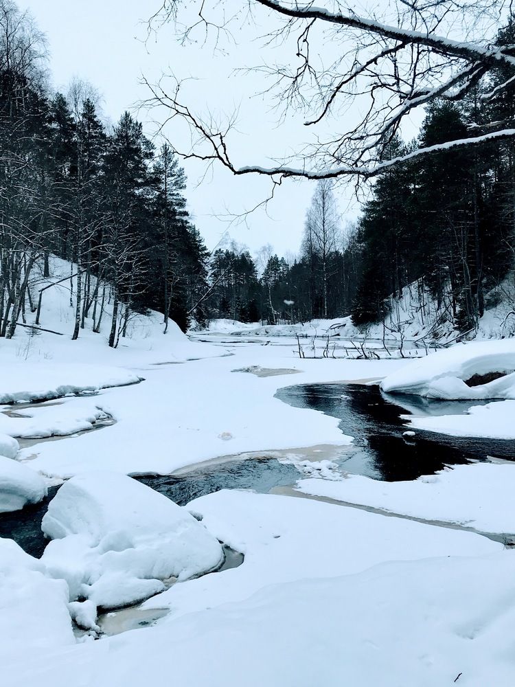 Photograph by Татьяна Шибанова