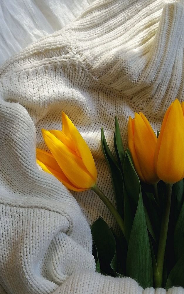 Фотография автора Наталья Тургулайнен