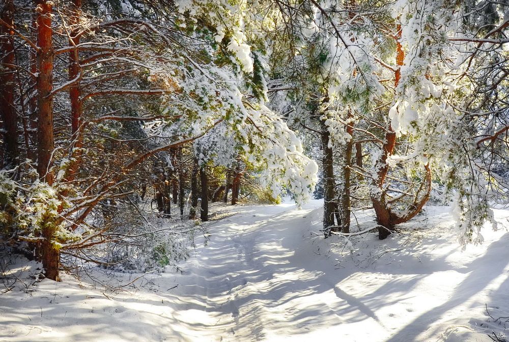 Фотография автора ВЛАДИМИР Тертышник