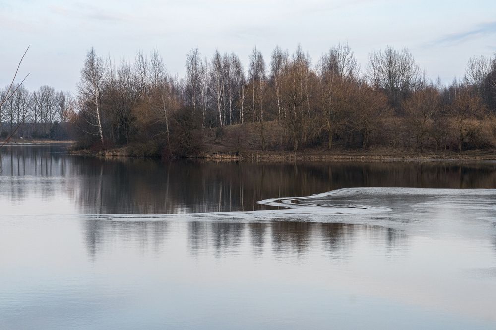 Фотография автора Алена Чёрная