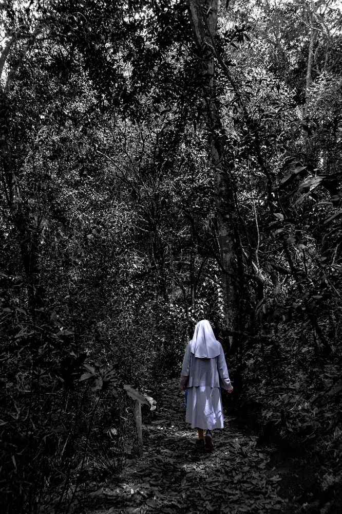 Фотография автора Fernando orozco fajuri