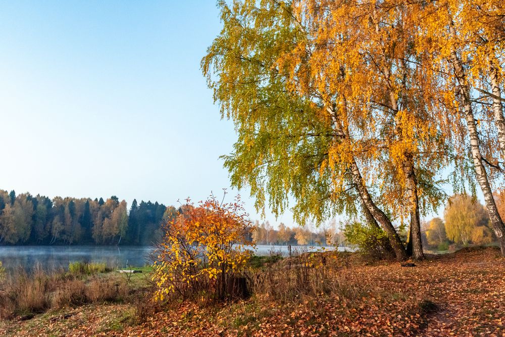 Photograph by Адиля Голубева