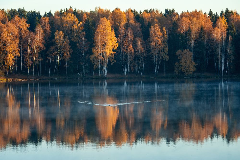 Photograph by Адиля Голубева