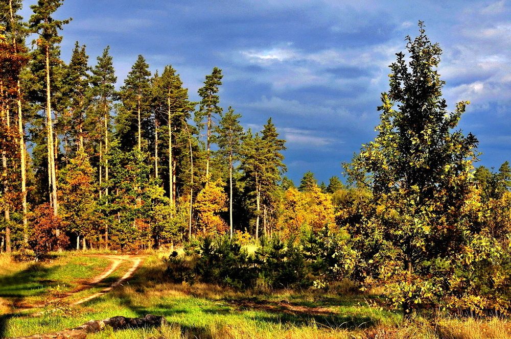 Photograph by Николай Птицын