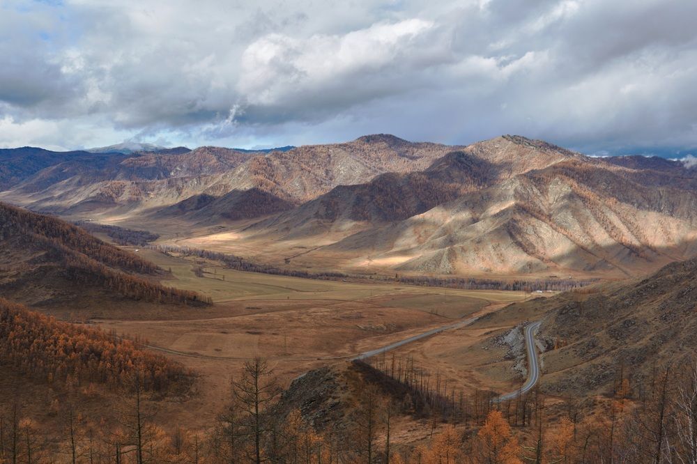 Фотография автора Антон Бразевич
