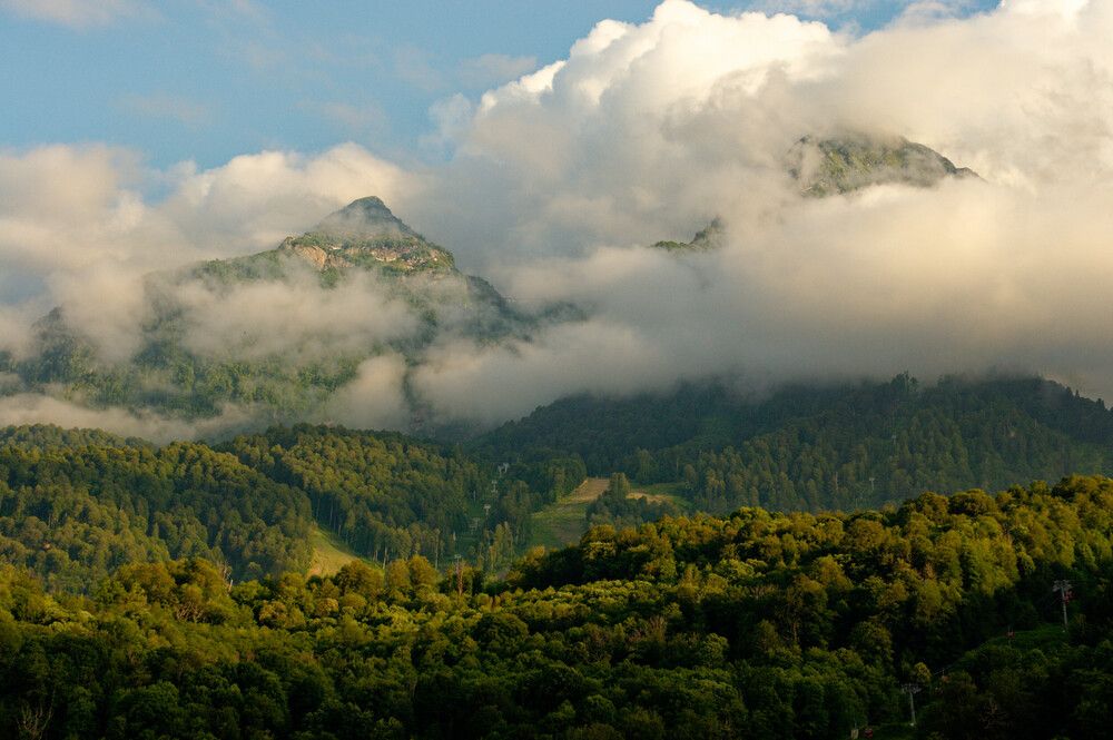 Photograph by Алексей Новиков