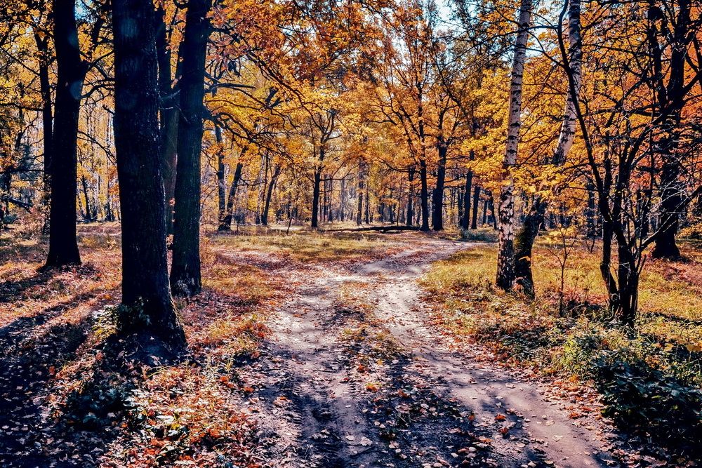 Photograph by Николай Птицын