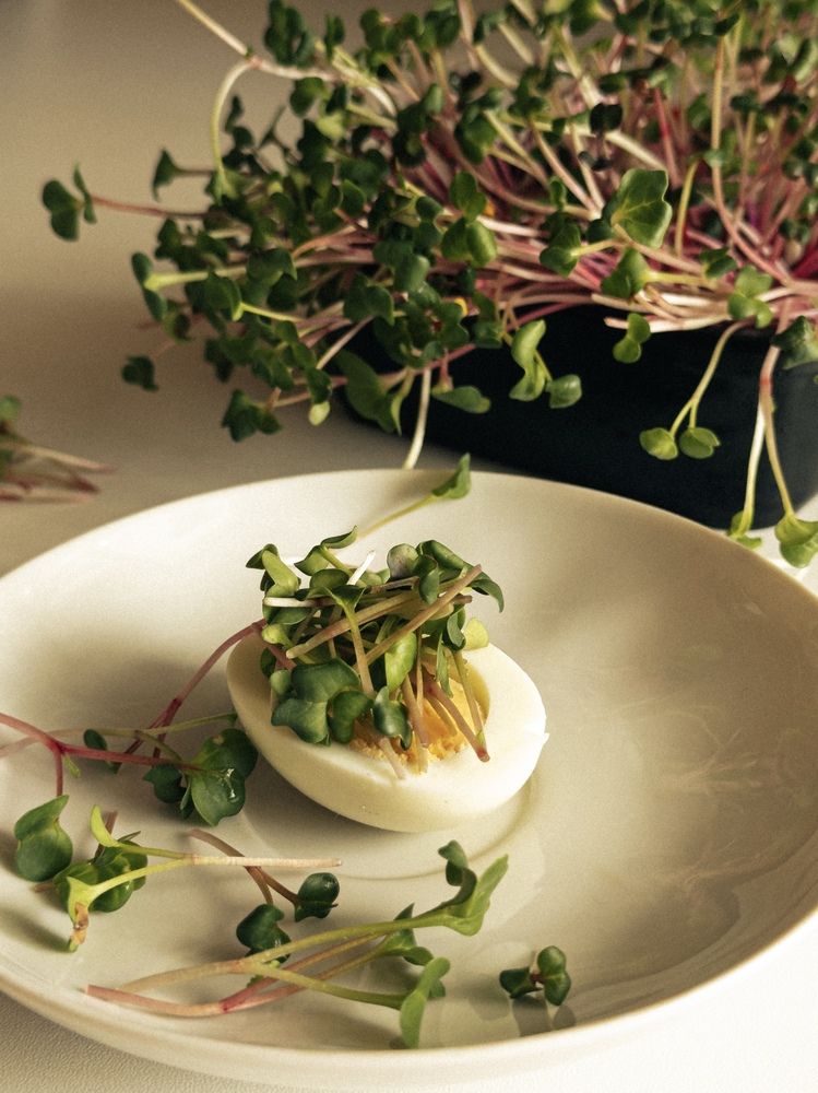 Photograph by Анна Голубцова