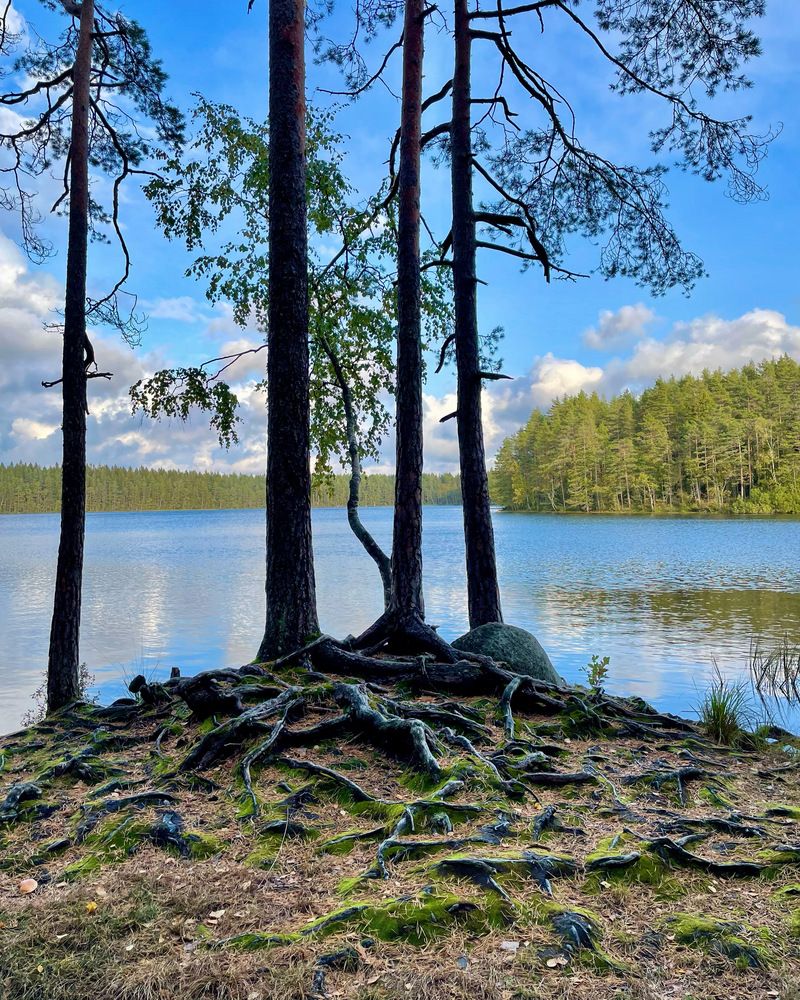 Photograph by Elena Efremova