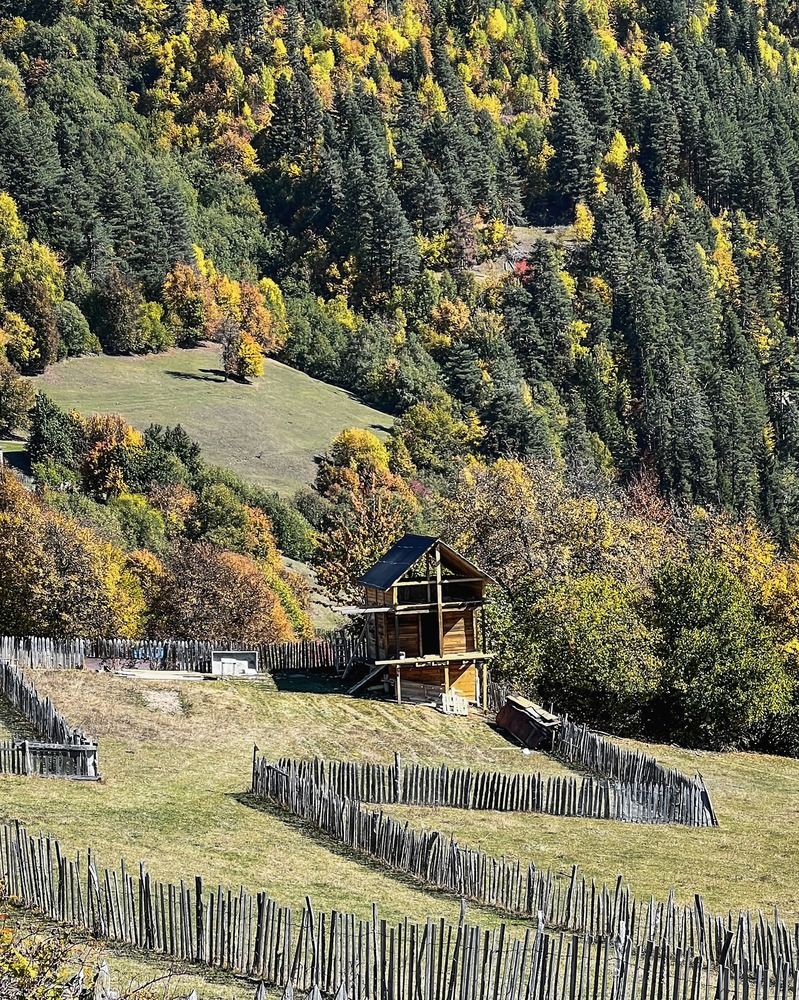 Photograph by Арина Абашкина
