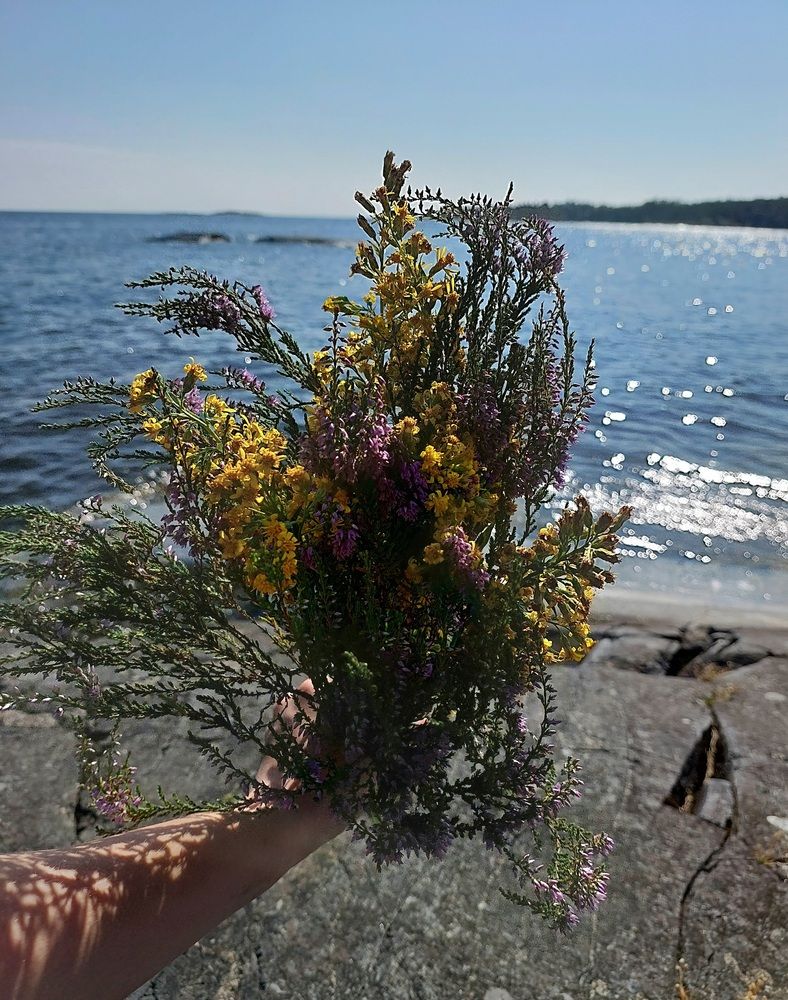 Photograph by Анастасия Ивченкова