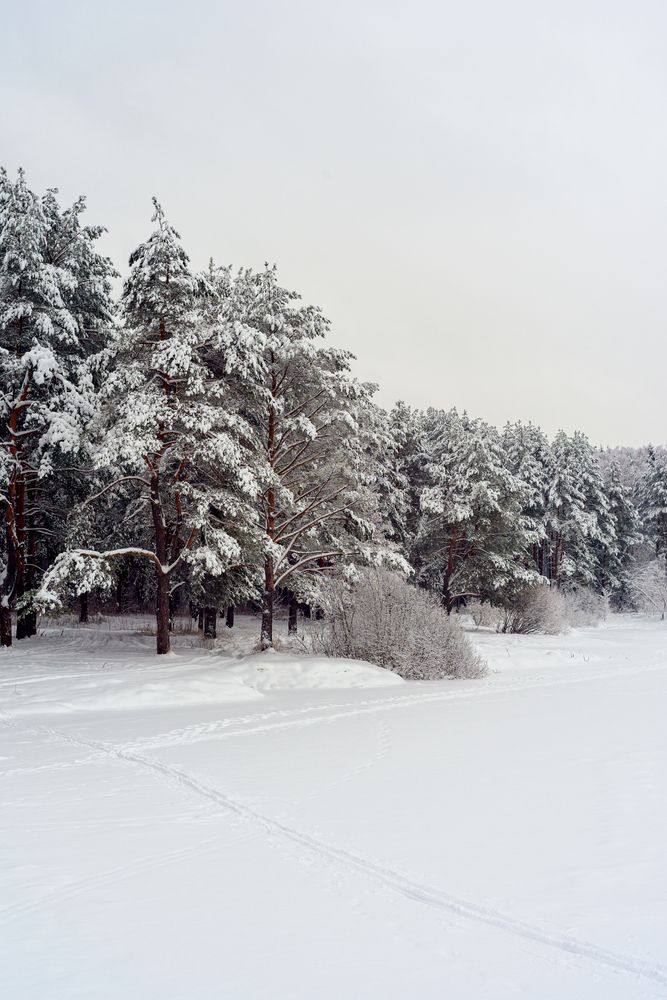 Photograph by Адиля Голубева