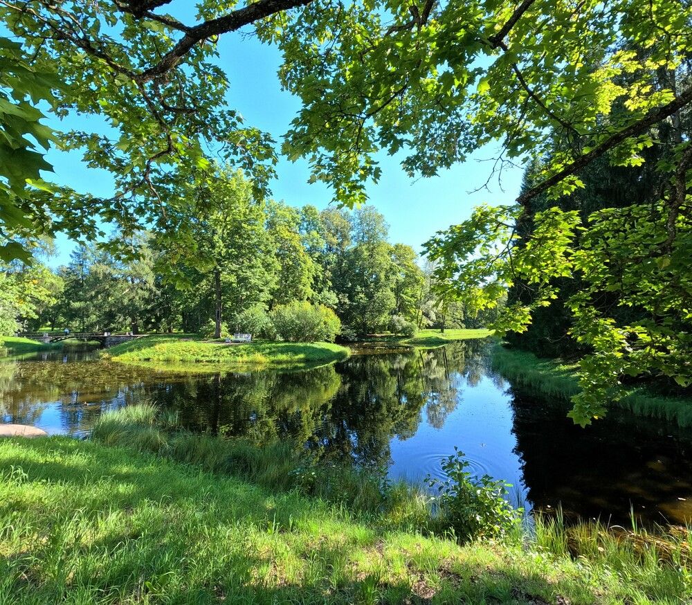 Пейзажный Английский сад Екатерининского дворца в Санкт-Петербурге